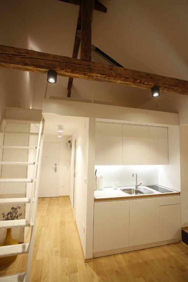 Studio Apartman Olaf Zagreb Exterior foto